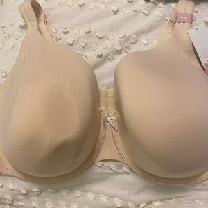 Cacique Cotton Collection bra